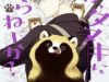 Omae, Tanuki Ni Naranee Ka?
