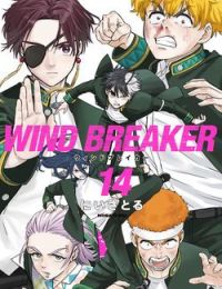 Wind Breaker